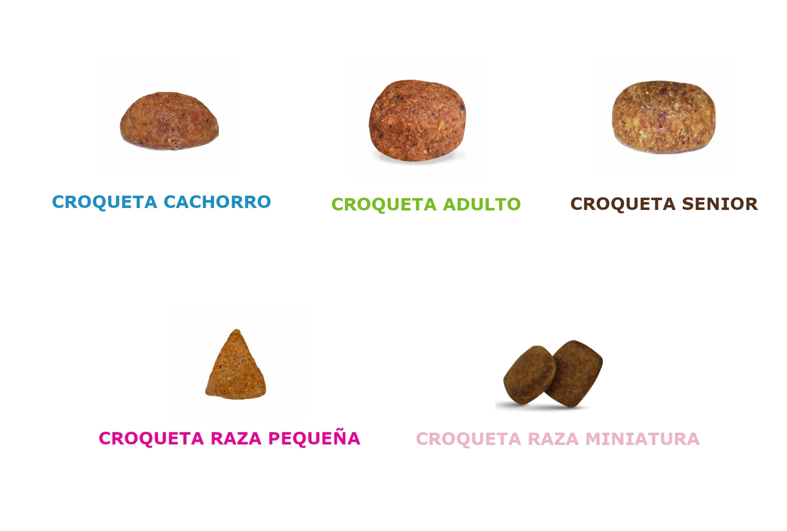 Guía de tamaños de croquetas