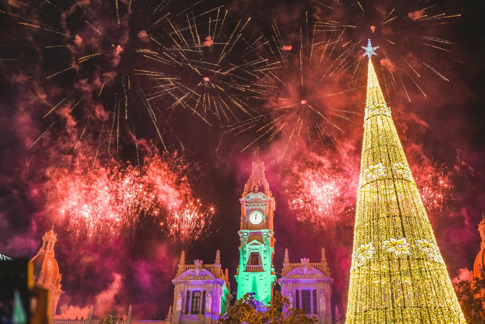 Cuidados para los perros durante fiestas patrias de septiembre en México