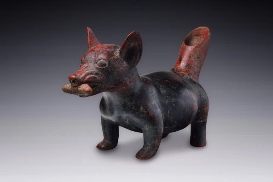 xoloitzcuintle prehispanico