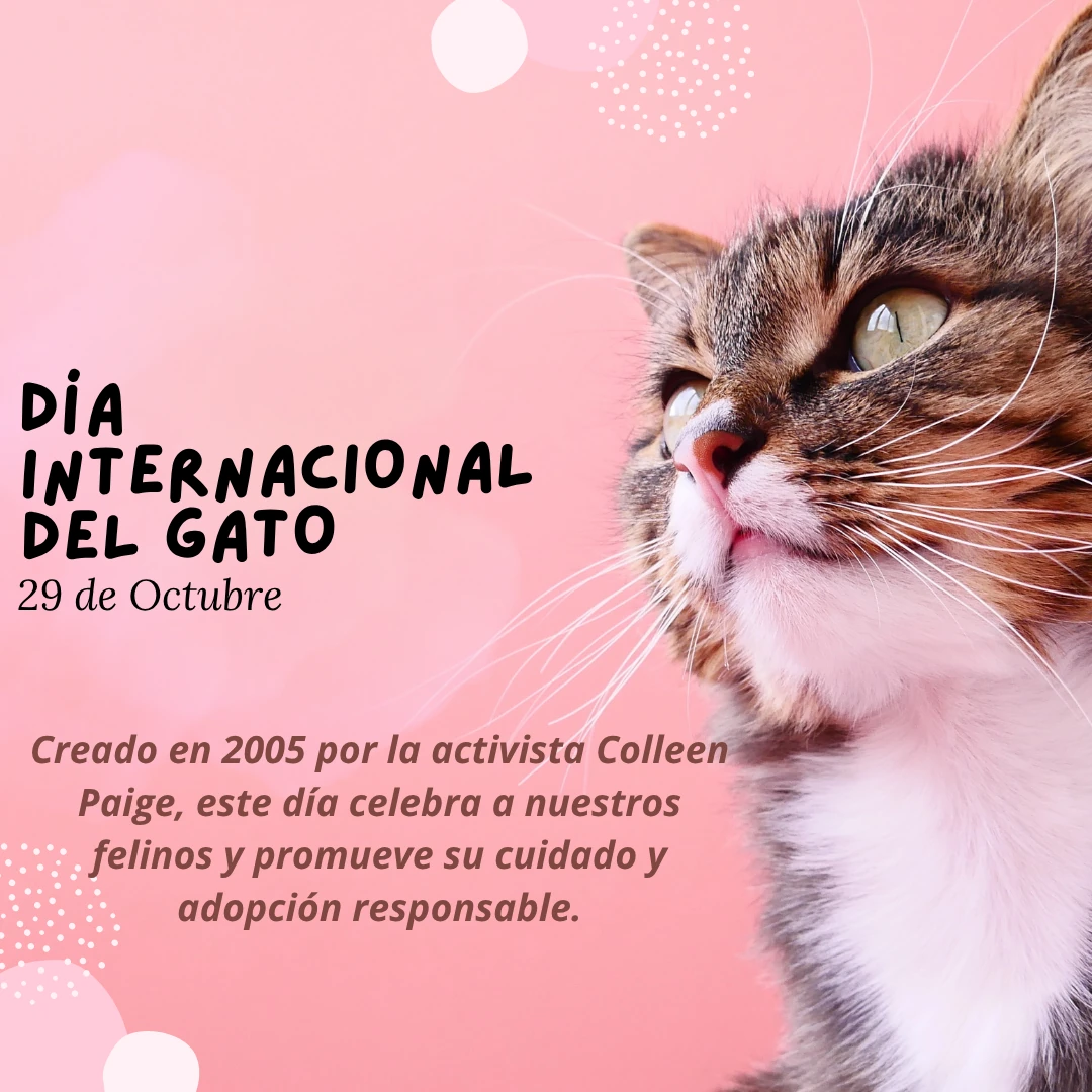 Creado en 2005 por la activista Colleen Paige, este día celebra a nuestros felinos y promueve su cuidado y adopción responsable.