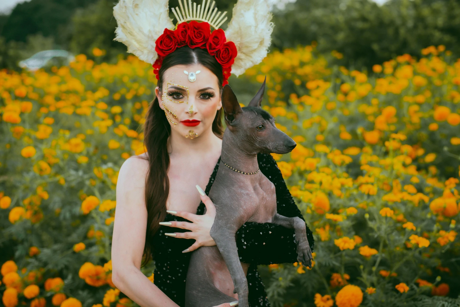 Dia de muertos Xoloitzcuintle