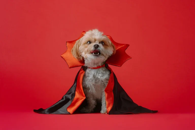 Halloween, Día de Muertos, Mascotas