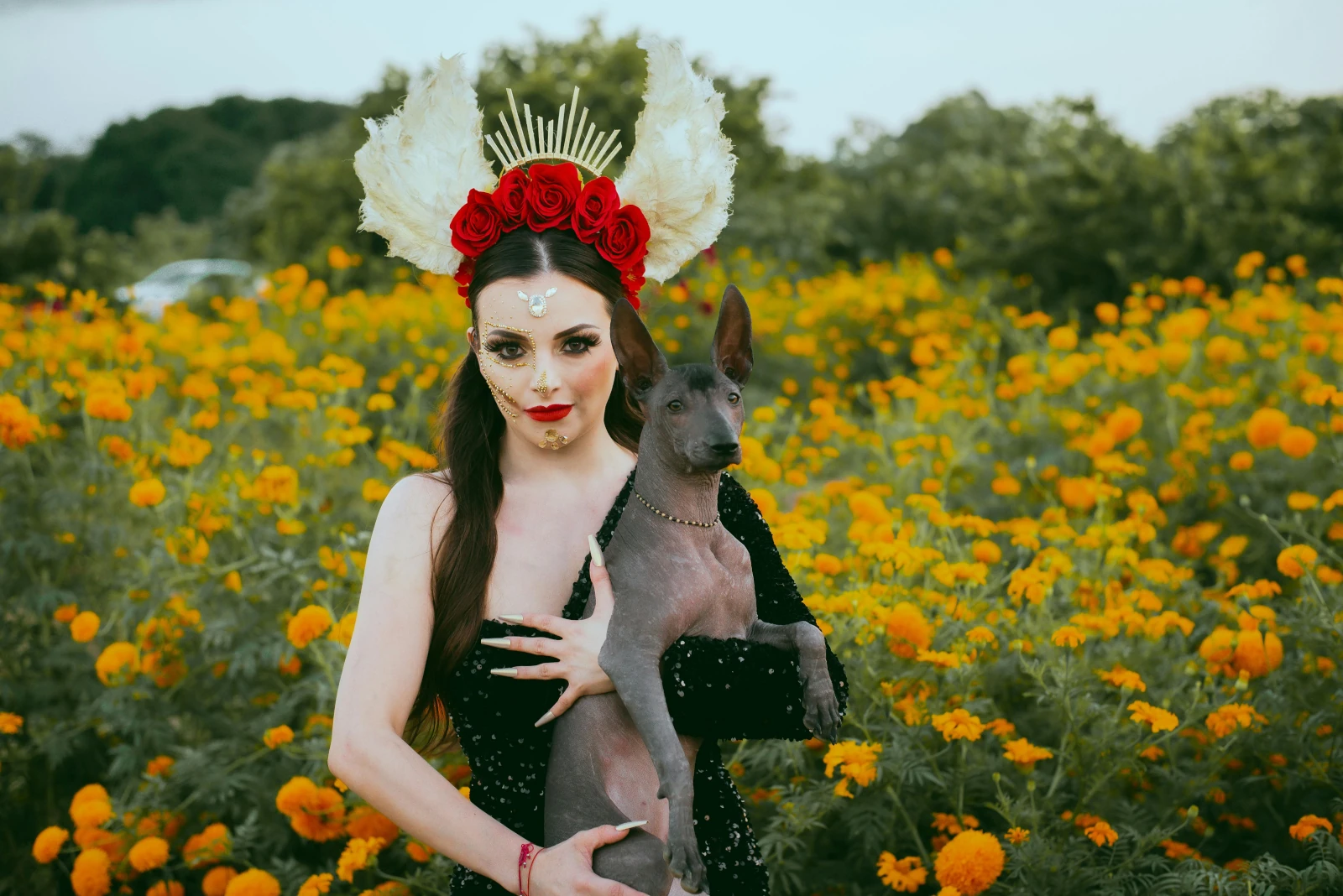 perro con fondo cultural mexicano