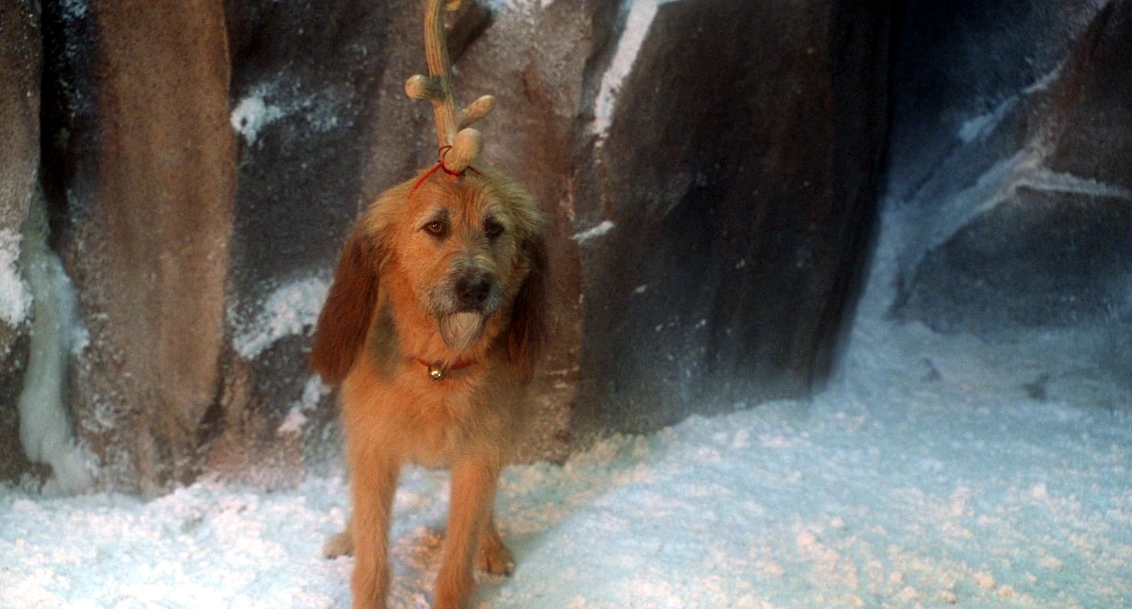 El perro Max con el Grinch