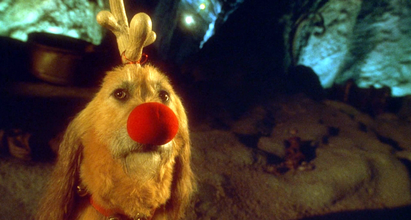 El perro Rodolfo en el Grinch