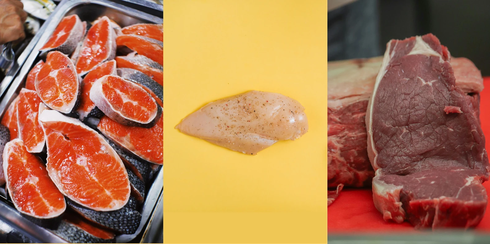 Ingredientes alimento Premium: Salmón, Pollo y Cordero